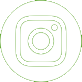 icon ig